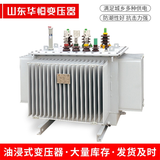 S13-10000/35达尔罕茂明安联合达尔罕茂明安联合达尔罕茂明安联合电力变压器